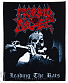    morbid angel "leading the rats"